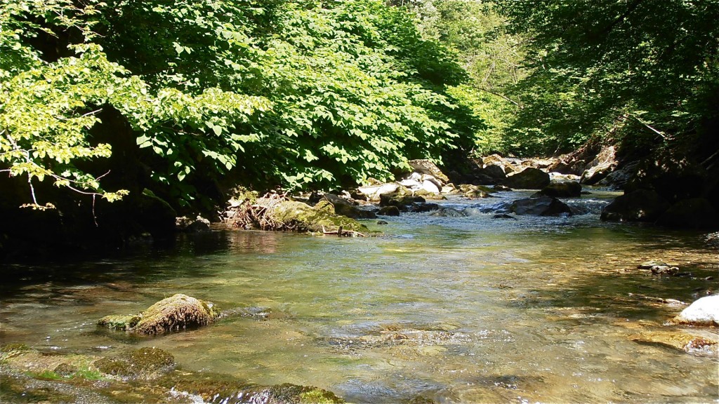 Rivière Le Doron