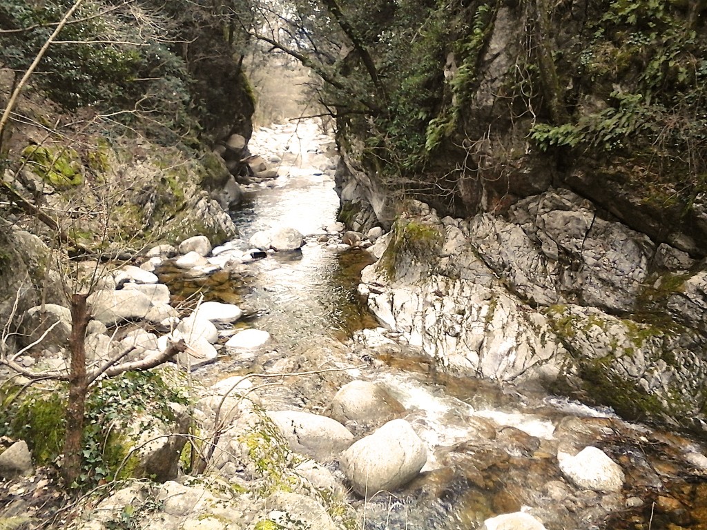 rivière hérault