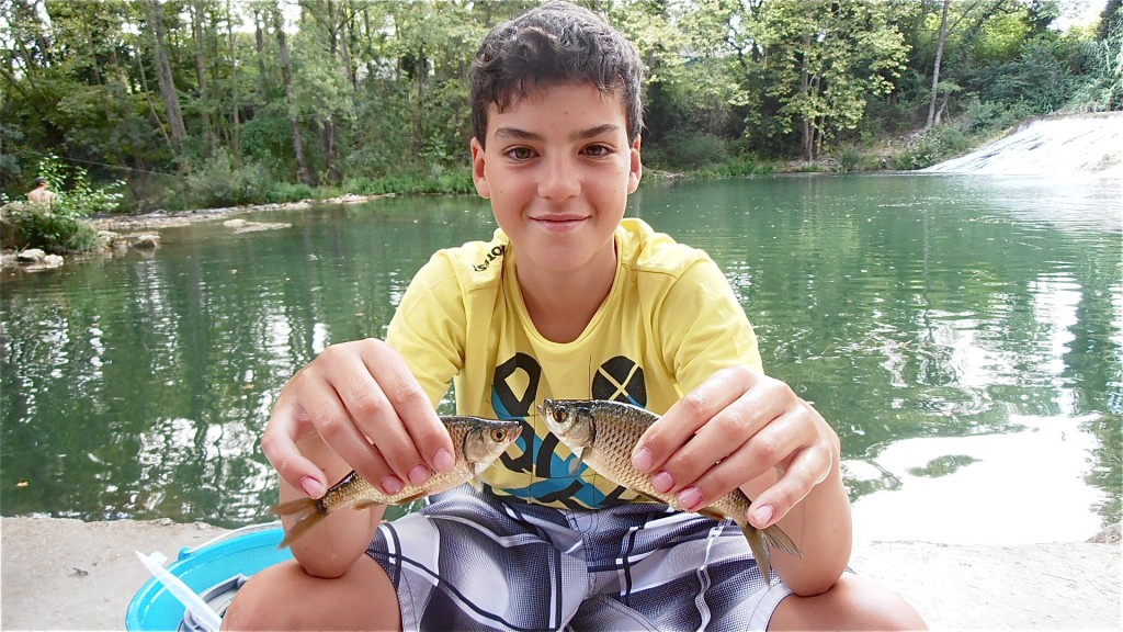 poissons blanc